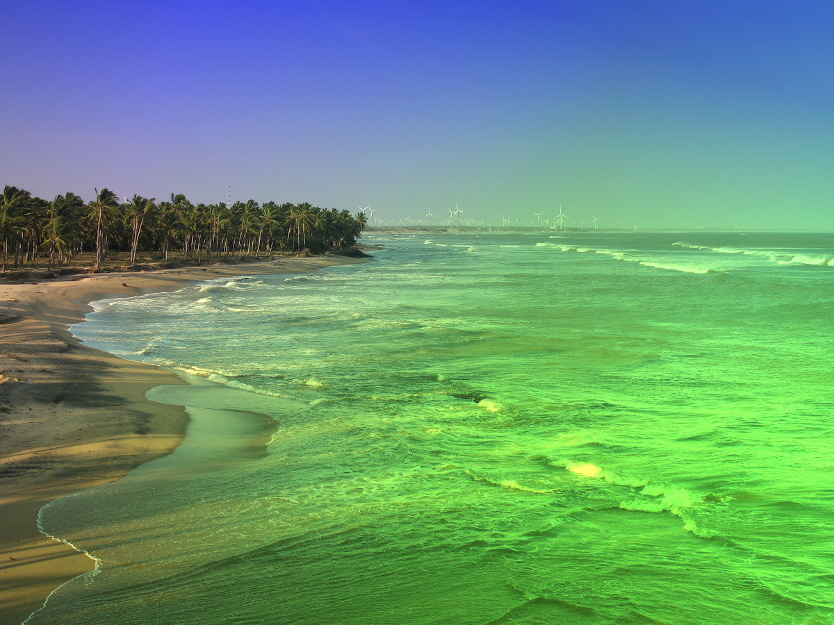 Lumea peste 100 de ani: o singura moneda si 3 limbi straine,iar oamenii isi vor putea citi gandurile