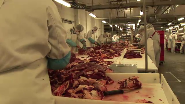 The Guardian: Guvernul britanic a fost avertizat in urma cu doi ani pe tema carnii de cal