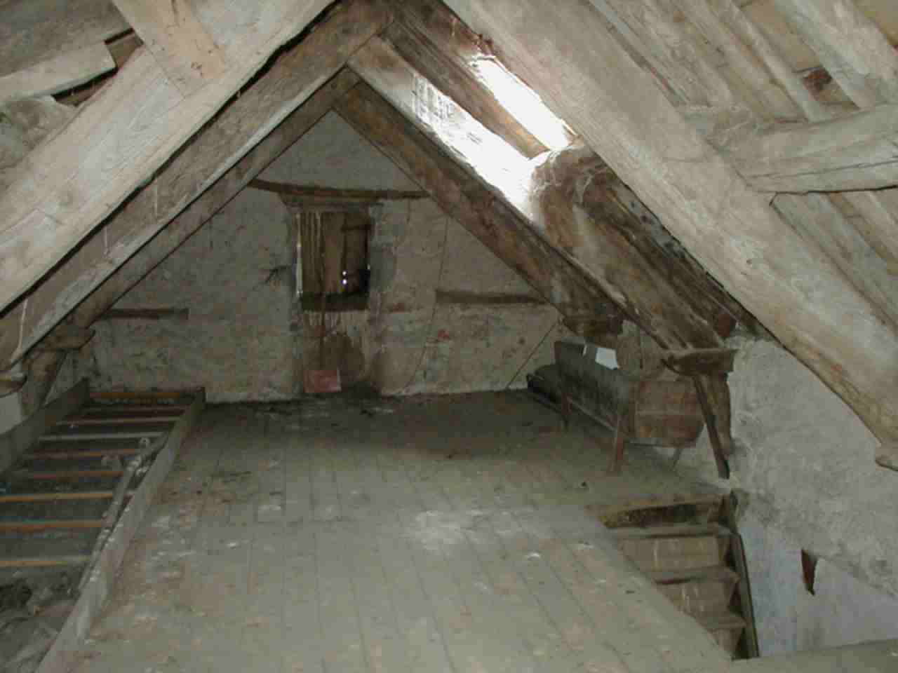 Ce a gasit un barbat in podul unei case mostenite. "Am fost scarbit pana mi-am dat seama ce este"