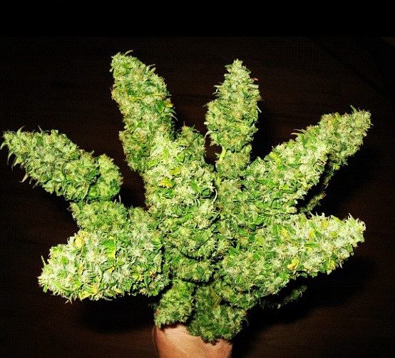 Doi tineri au sarit in aer, in timp ce preparau un amestec de marijuana si butan