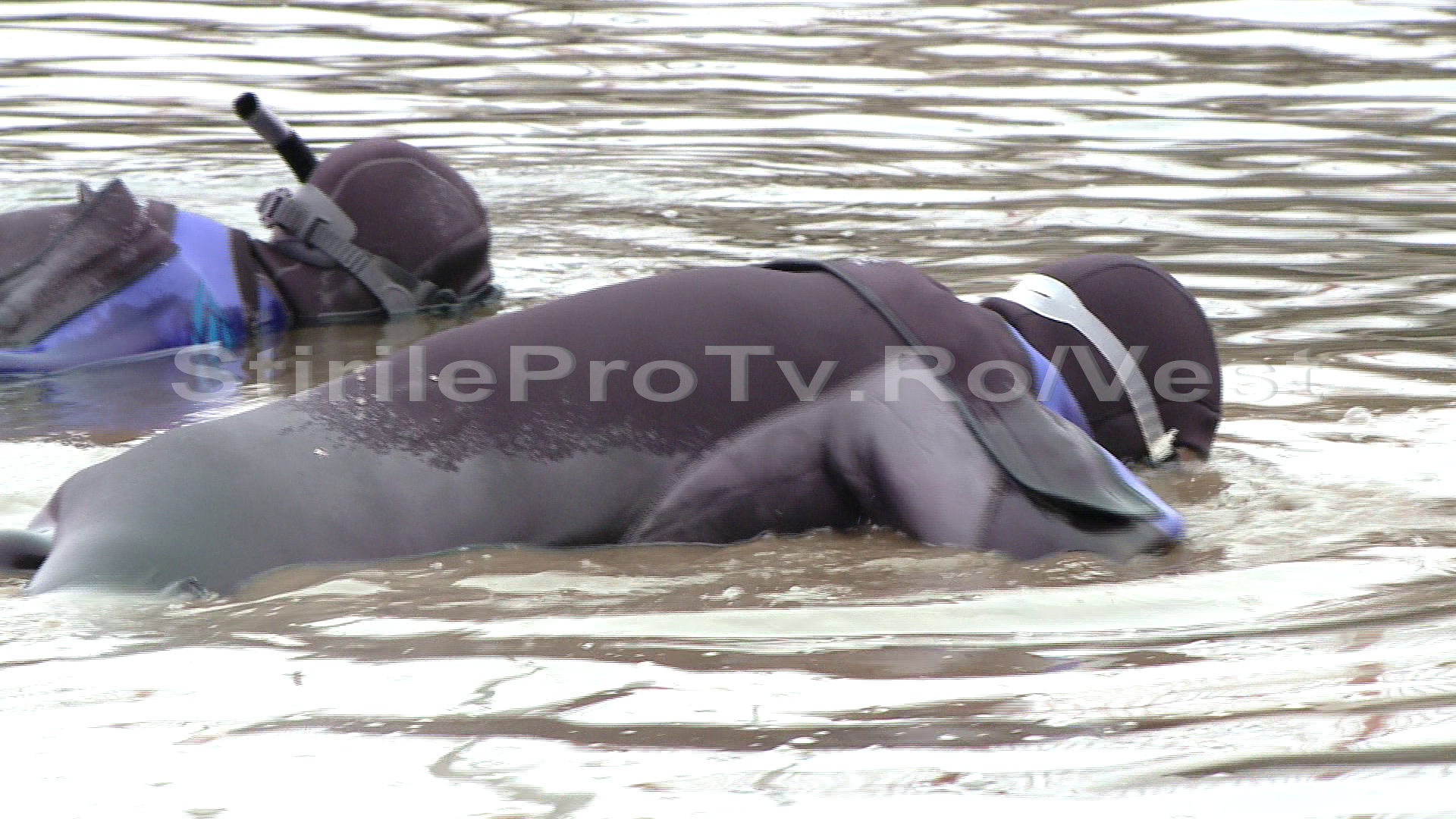Anchetatorii cauta dovezi cu ajutorul scafandrilor in cazul crimei de la Sinersig.Ce vor sa gaseasca
