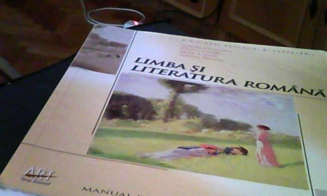 Pe 31 august am putea sarbatori Ziua Limbii Romane. Ce se va intampla in toate institutiile publice