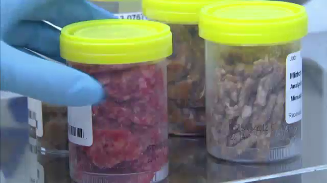 Carne de cal, descoperita in Portugalia in produse Auchan si El Corte Ingles