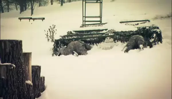 Militarie cu zambetul pe buze. Rares Nastase ne arata cine sunt soldatii de weekend din Romania, oameni in toata firea care se joaca de-a armata