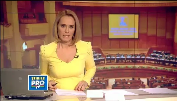 Monica Macovei candideaza la sefia PDL.