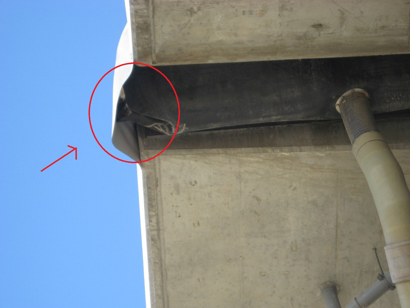 Operatiunea de salvare a unei pisici blocate in canalizarea podului autostrazii Arad-Timisoara. FOTO