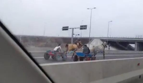 "Need for speed" in Romania, cu doi cai putere. Liniuta intre doua carute pe Autostrada Soarelui