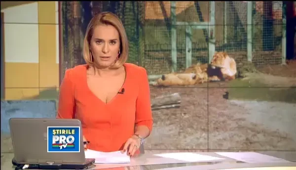 Dormea cu leii in pat, lui Baloo ii dadea sa manance din gura. Ce se intampla la ZOO Camataru