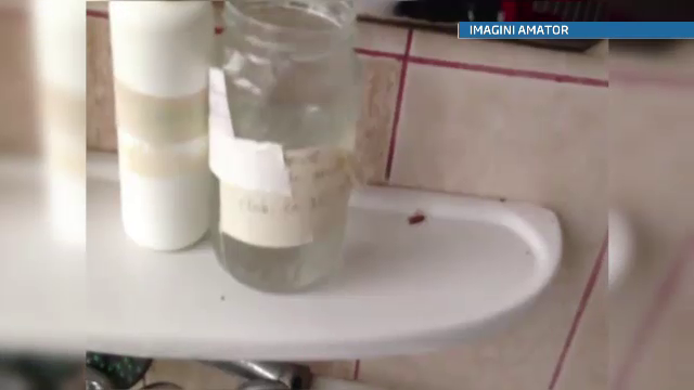 Imagini socante in Spitalul de Pediatrie din Ploiesti: gandaci misunand peste tot pe mobilier