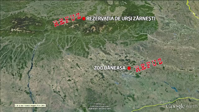 Refuzate de Gradinile Zoologice, animalele crescute de Nutu Camataru ar putea ajunge in Africa