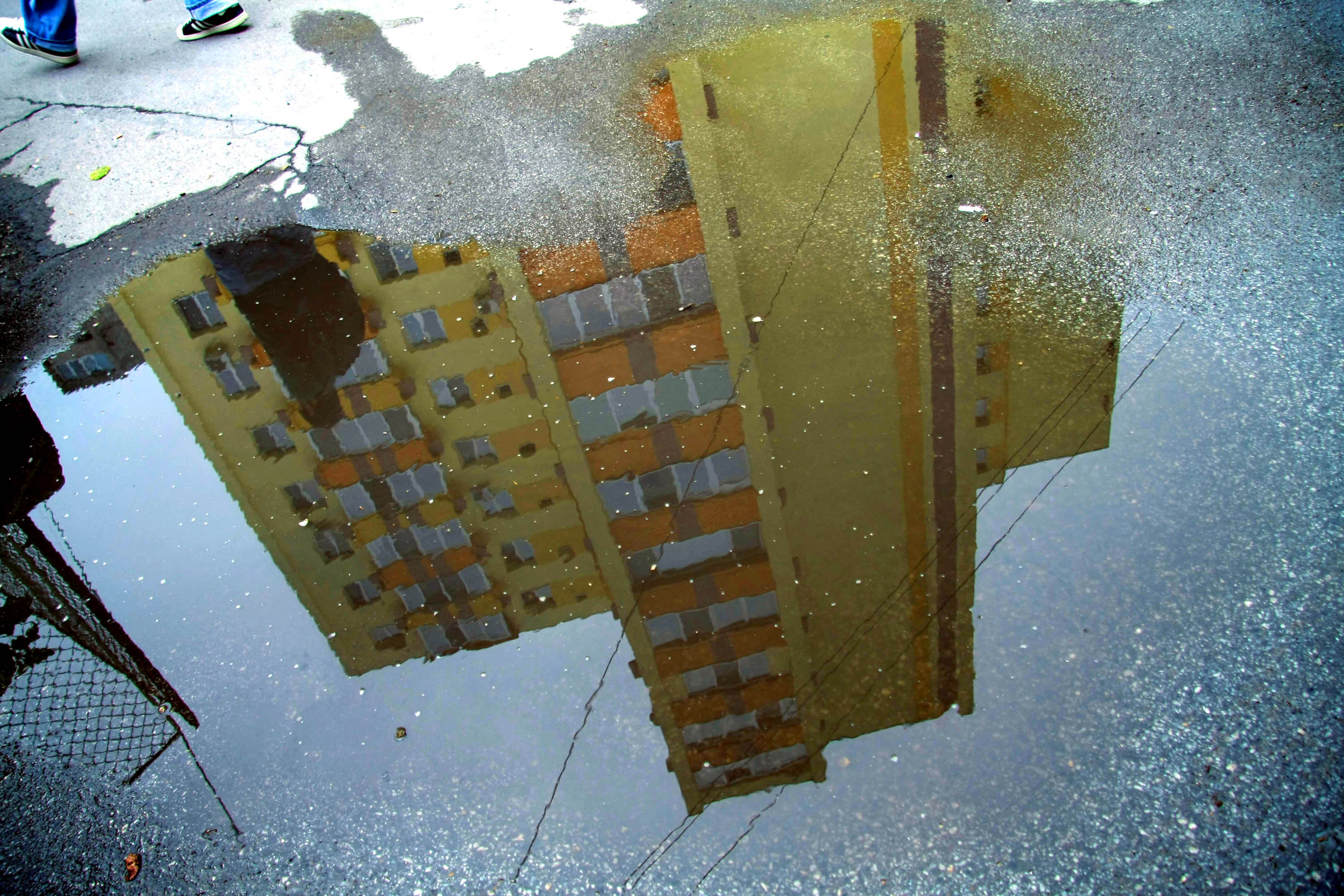 Timisorenii care isi scutura covoarele si paturile pe fereastra vor fi amendati, a decis CL