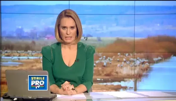 Imagini socante. 500 de capete de cai si magari, gasite intr-o rapa din Galati: