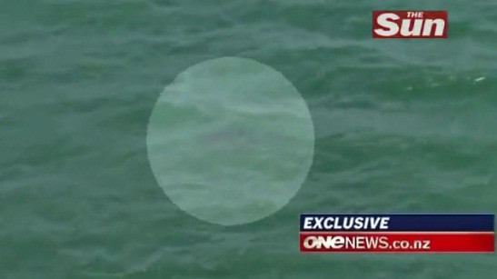 Regizorul neozeelandez Adam Strange a murit, dupa ce a fost atacat de patru rechini albi. VIDEO