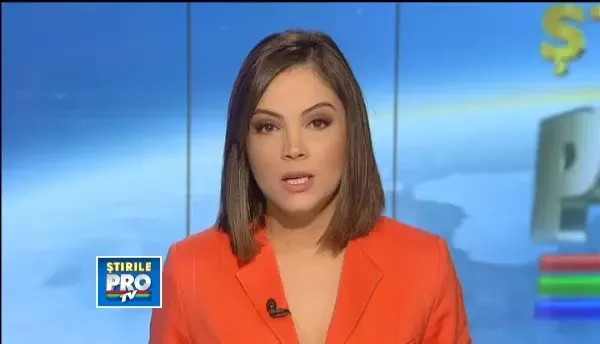 Cei patru lei si doi ursi ai lui Nutu Camataru, ridicati de pe propietatea acestuia