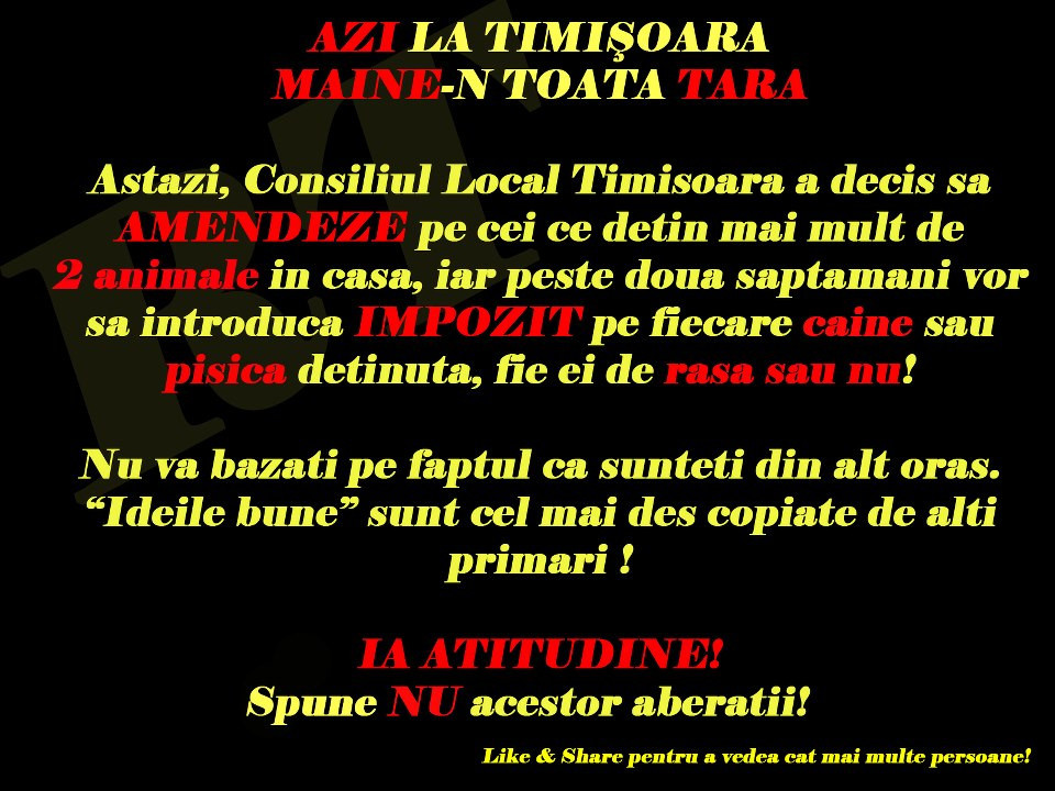 Deciziile Consiliului Local, contestate de timisoreni. “Taxa pentru caini incurajeaza abandonul lor”