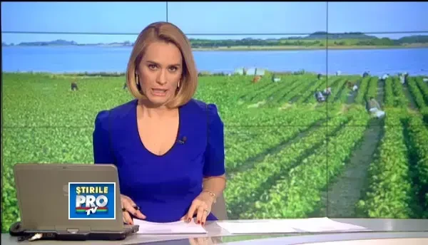 Ce se intampla cu copiii ai caror parinti pleaca la munca. Autoritatile, depasite de situatie