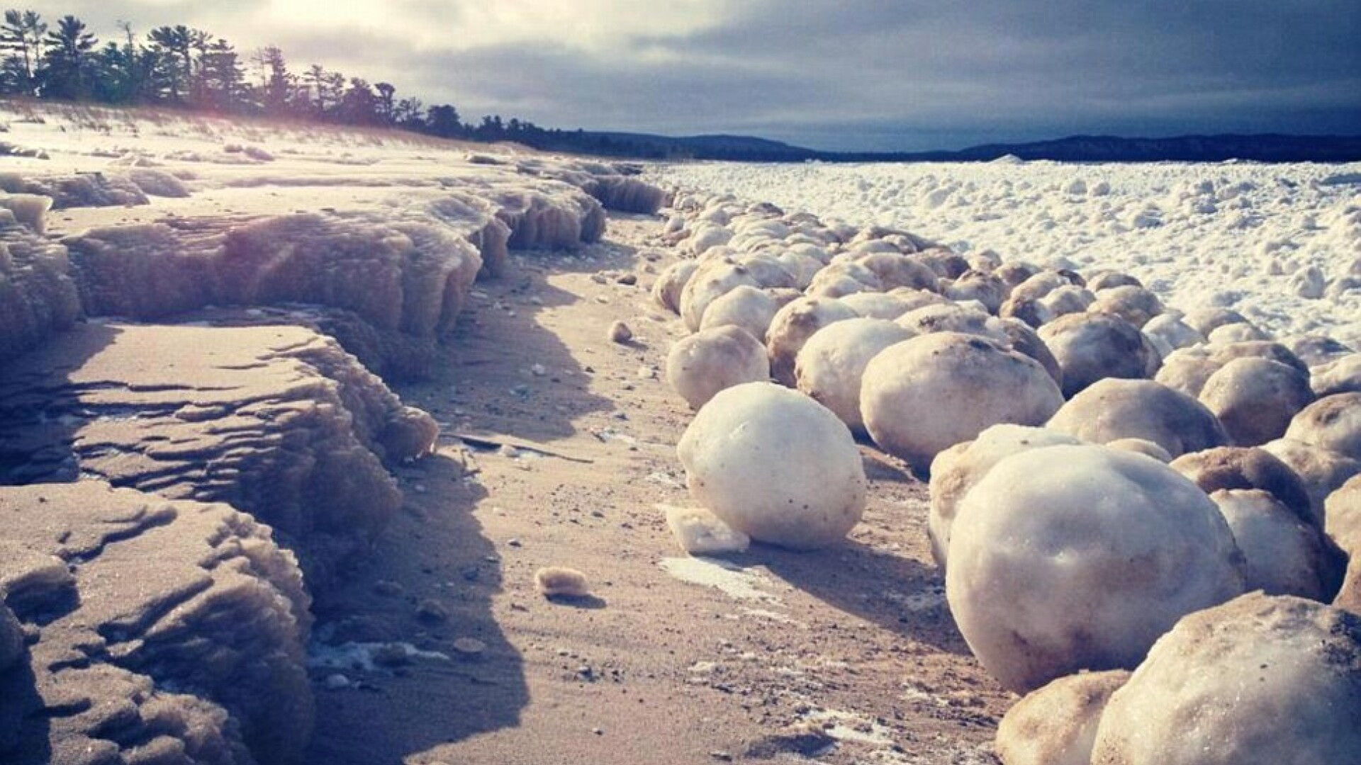 VIDEO. Bulgari uriasi de zapada, descoperiti pe malul lacului Michigan. Cantaresc peste 30 de kg