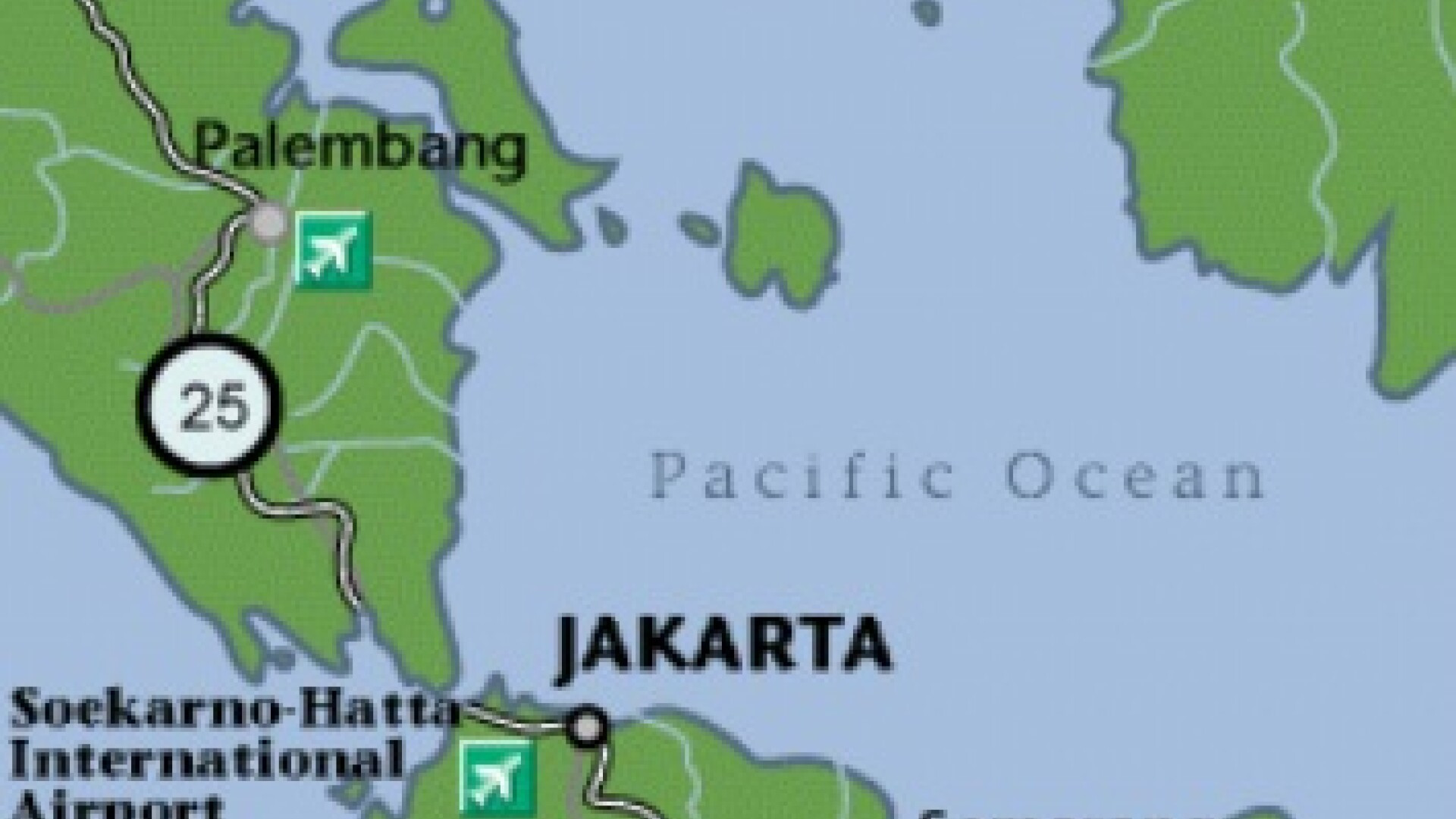 Explicatia bulversanta a unei mame din Indonezia pentru uciderea propriului ei fiu