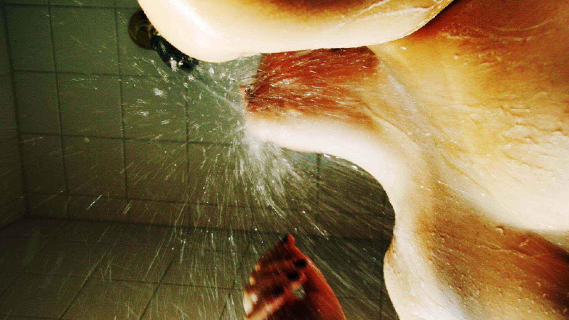 Caz socant in SUA. Eleva de 12 ani acuzata ca si-a filmat profesoara de sport la dus