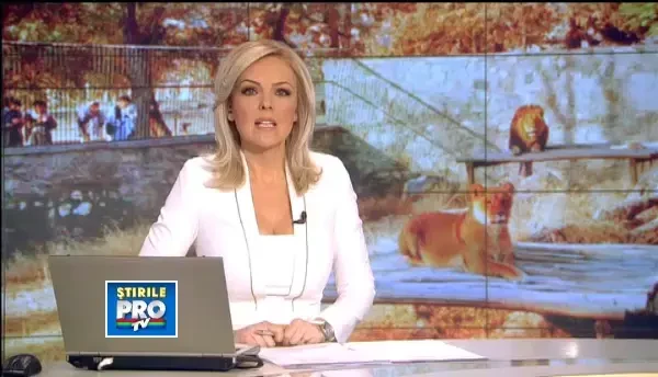 Inspectie surpriza la gradina zoologica unde se afla leii lui Nutu Camataru. In ce stare i-au gasit