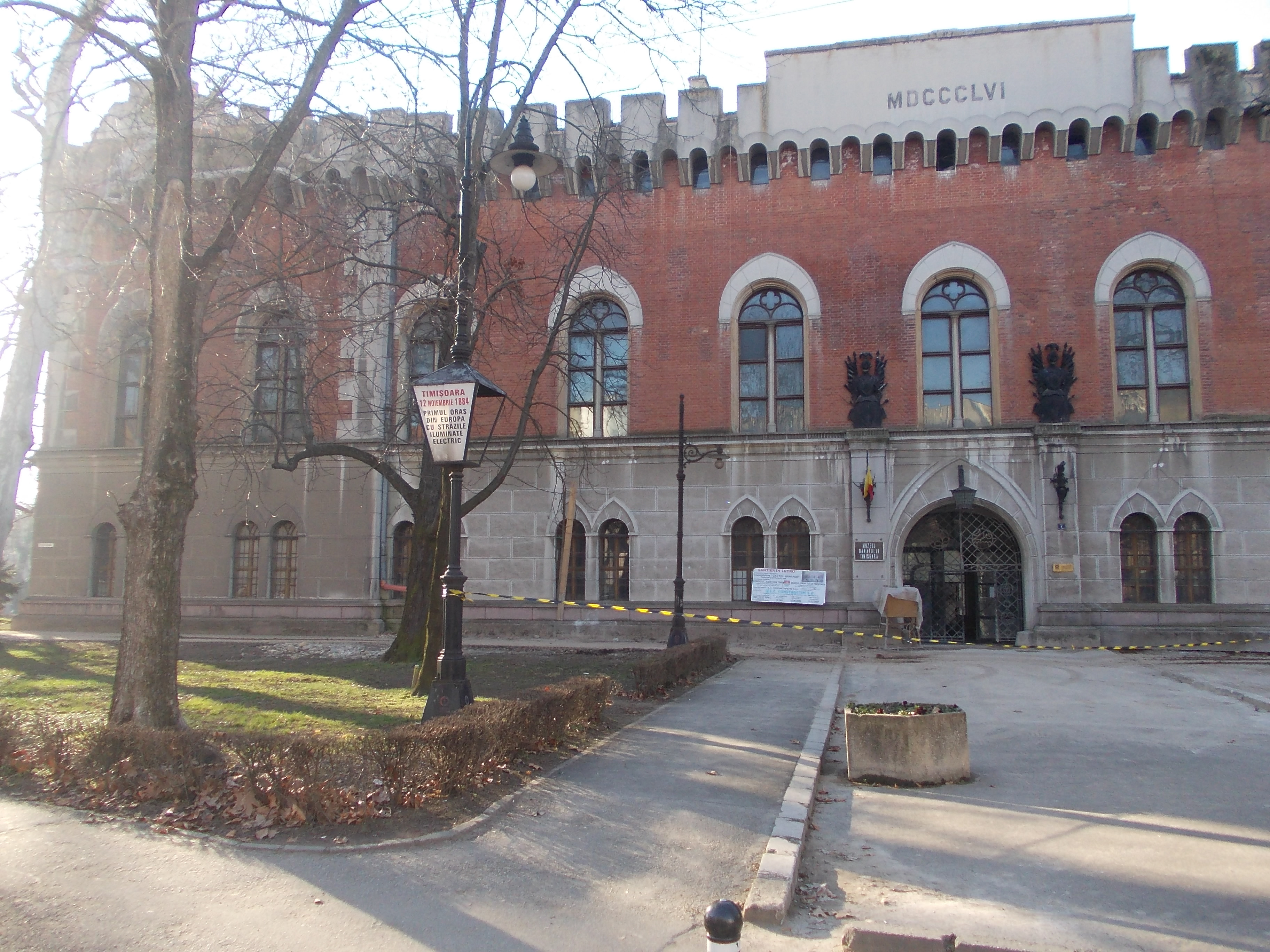 Incepe taierea plopilor batrani din Timisoara. In locul lor vor fi plantati alti puieti