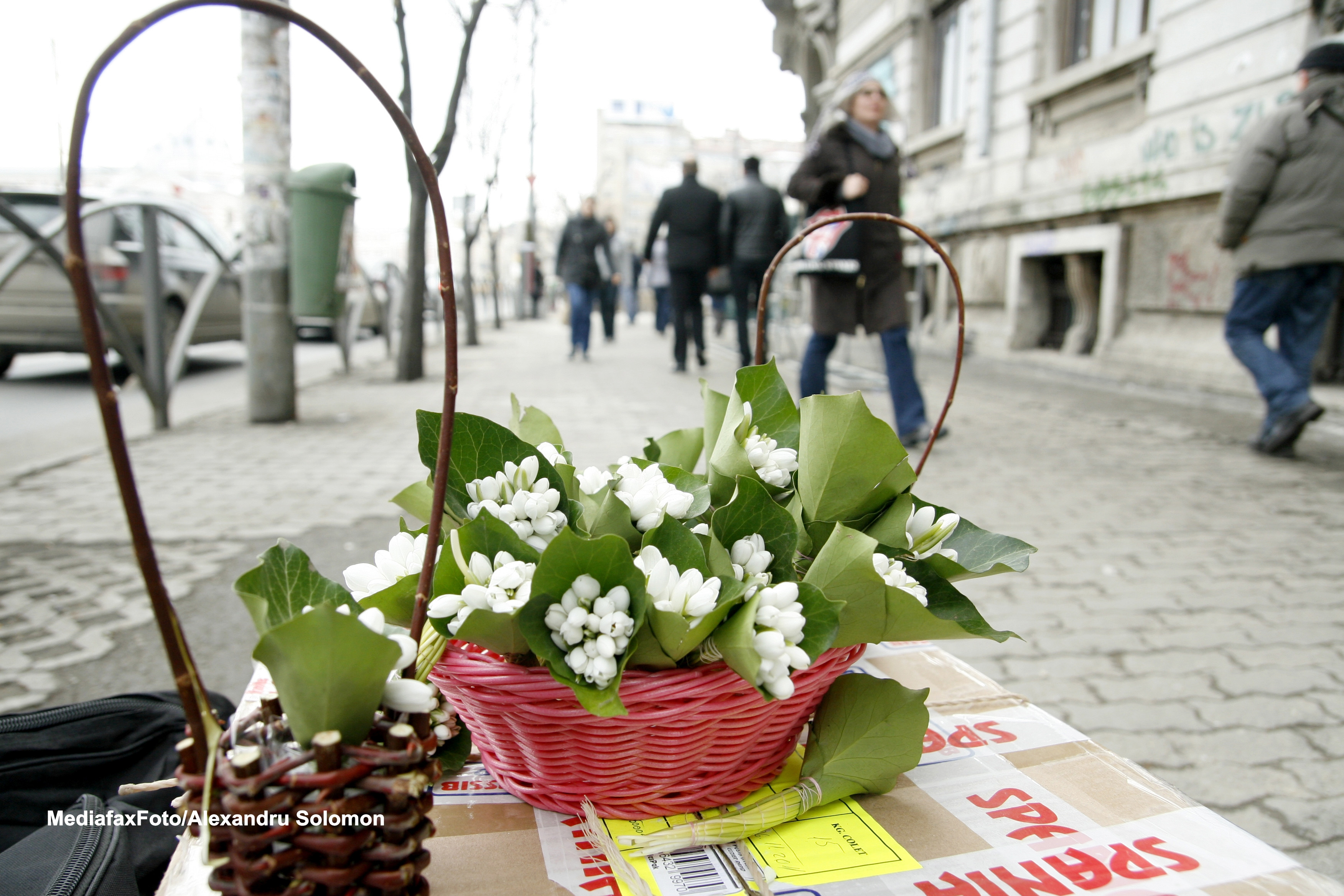 Vremea se va incalzi in toata tara. Cat de cald va fi miercuri si joi in tara si in Capitala