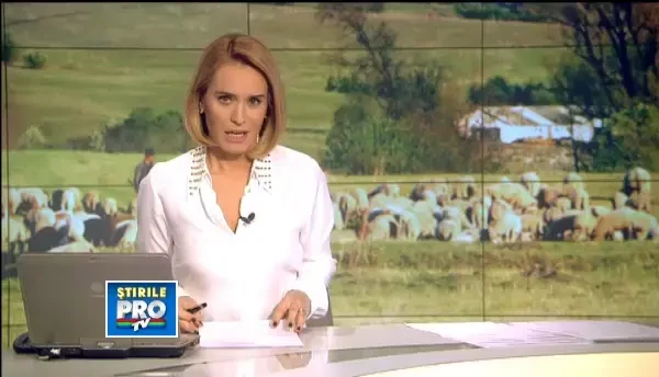 Anul acesta, de Paste, vom avea miei mai grasi, dar mai scumpi. Pretul, mai mare cu 10 lei/kg