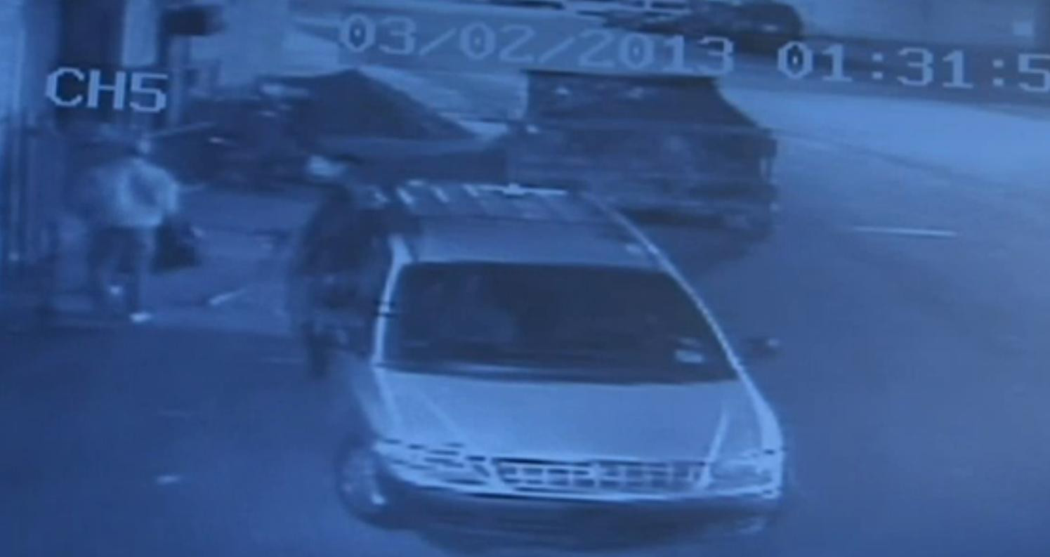 "E un lucru ingrozitor sa-i faci asta unui caine. E tortura." Cum au fost ucisi 4 caini in New York