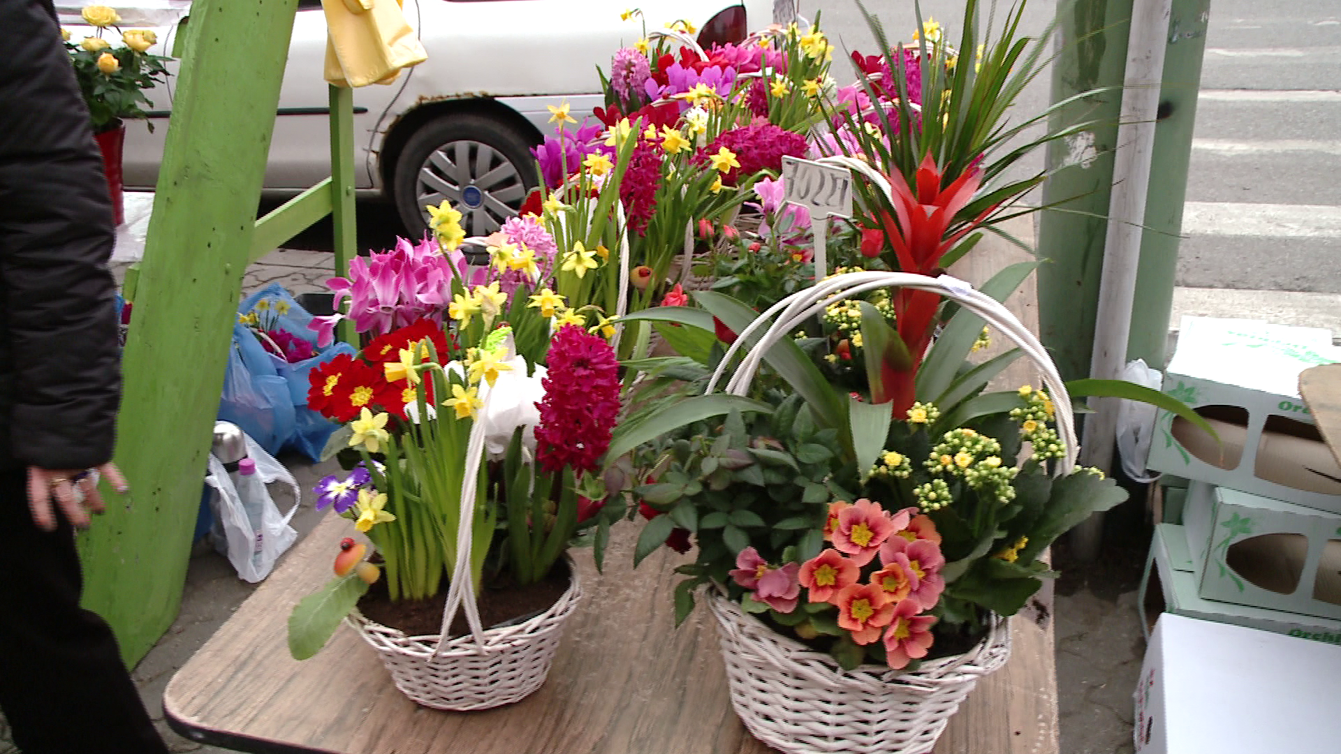 Vizita in lumea florilor