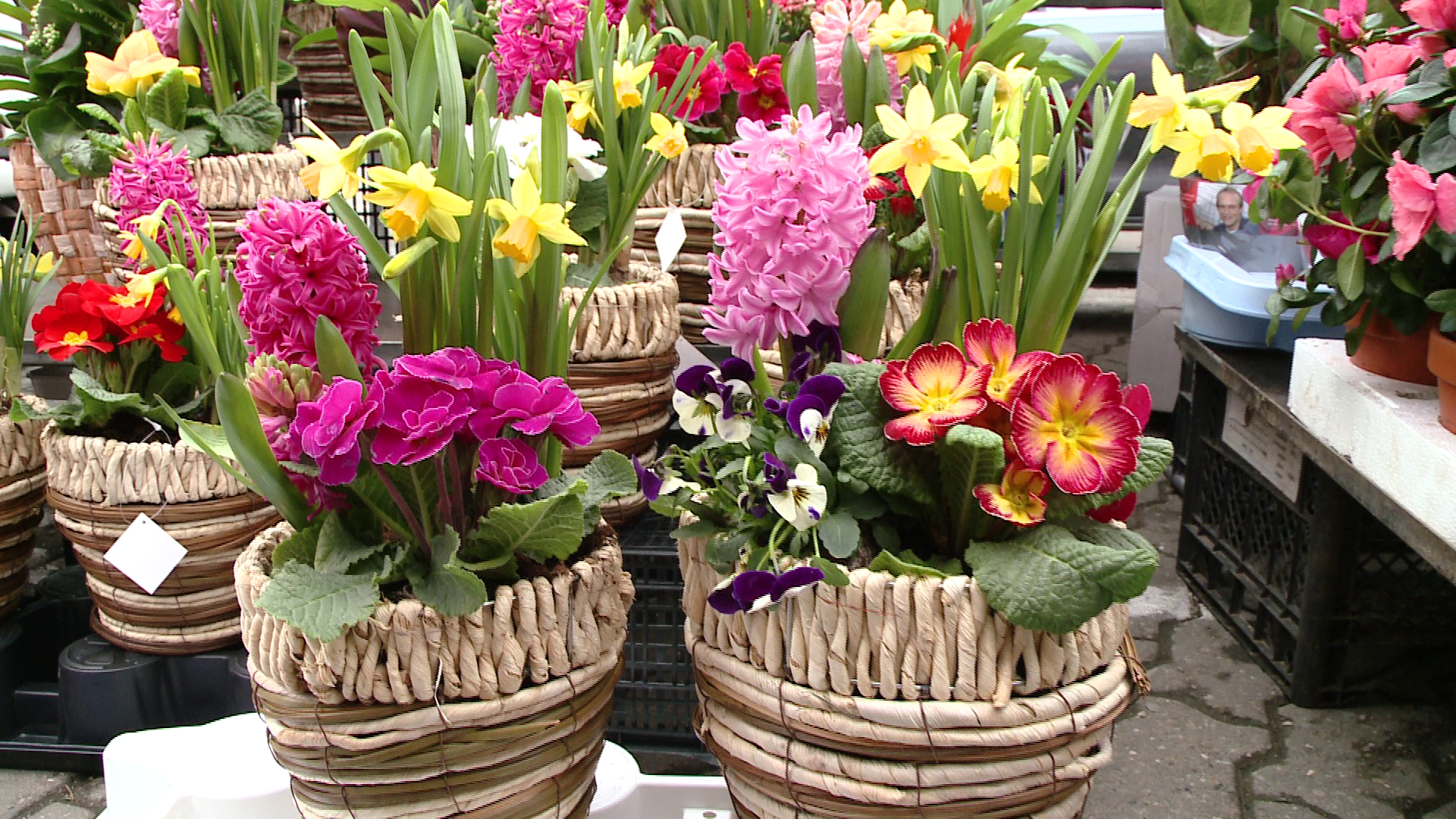 Au ramas fara flori inainte de 8 martie. Florarii din Beclean, sanctionati cu 8.000 de lei