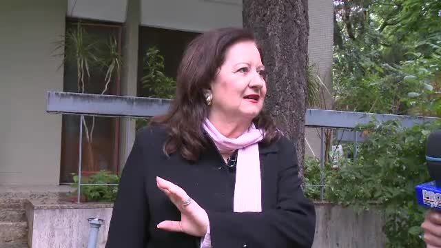 "Dati-ne o alta casa si plecam din vila din Primaverii''. Propunerea Mioarei Roman catre RAPPS