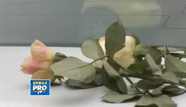 Femeile din Bistrita au fost amendate cu flori