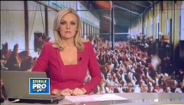 Peste 37.000 de pasari contaminate cu Salmonella, descoperite la o ferma din Romania