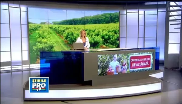 In cautarea gustului delicios al fructelor romanesti, pomicultorii se intorc la puietii autohtoni