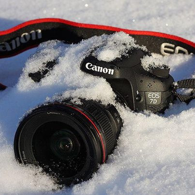 A dat LOVITURA VIETII! A montat o camera in zapada, iar apoi s-a uitat pe imagini. Ce a filmat.VIDEO