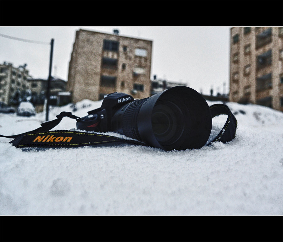 Un fotograf a dat LOVITURA VIETII!. A montat o camera in zapada, iar apoi s-a uitat pe imagini