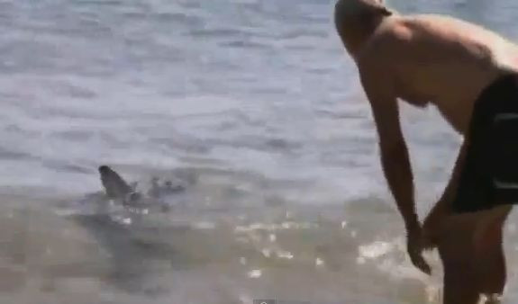 Gestul eroic facut pe o plaja din Australia l-a lasat fara locul de munca. Ce s-a intamplat. VIDEO