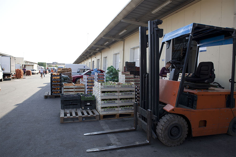 Salvarea agricultorilor din Timis: un proiect european implementat cu o intarziere de aproape un an