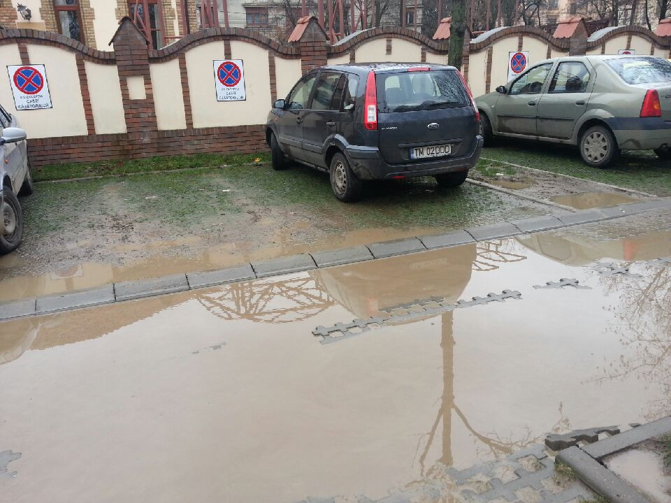 Parcarile ecologice din Timisoara seamana mai degraba cu niste mlastini. FOTO