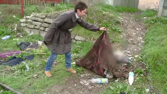 IMAGINI SOCANTE. Maidanezii din Mangalia, ucisi si jupuiti. Pielea, folosita la manusi si pantofi