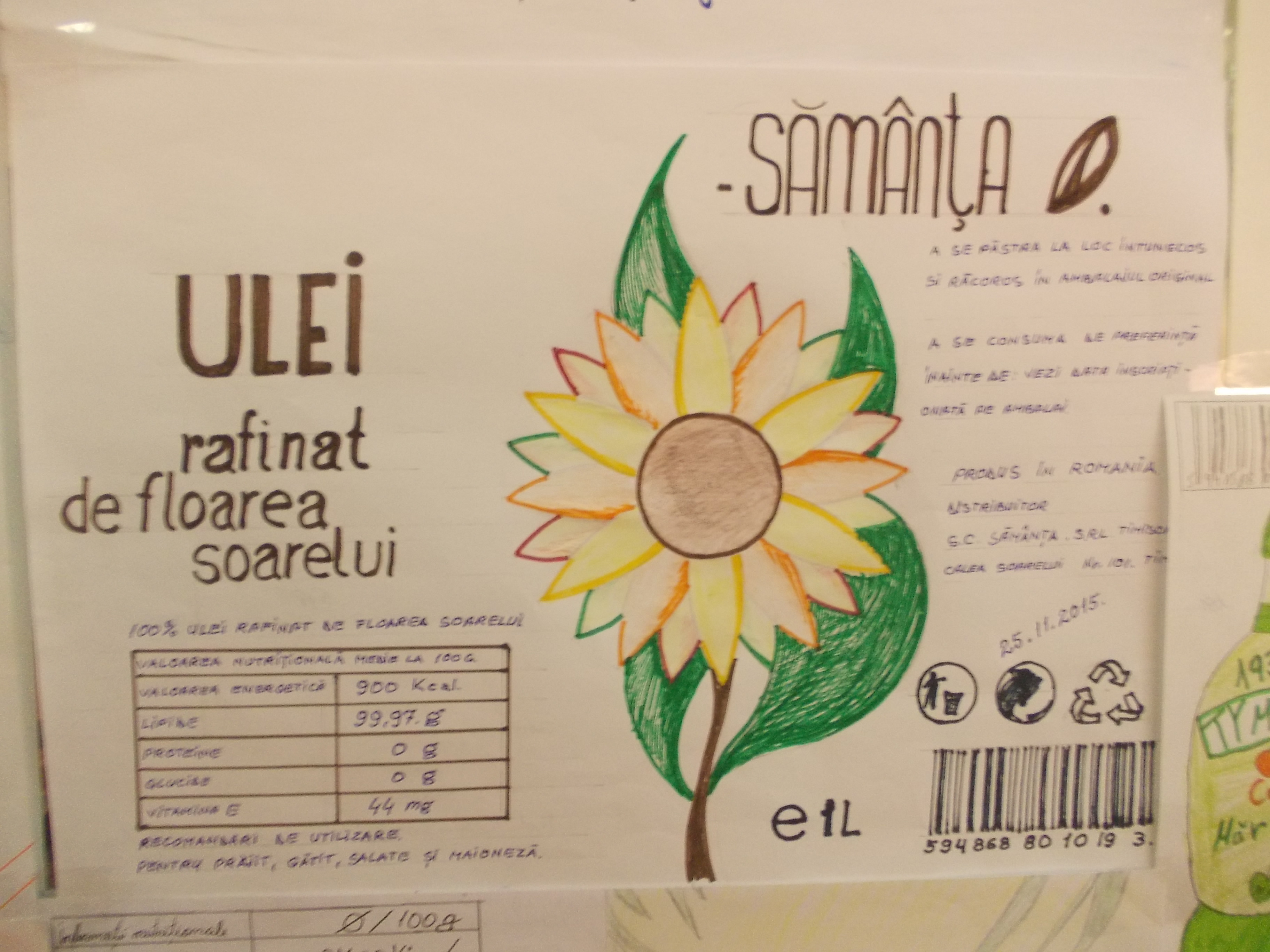 Mici, dar voinici. 50 de elevi din Timis au devenit graficieni pentru o zi. GALERIE FOTO