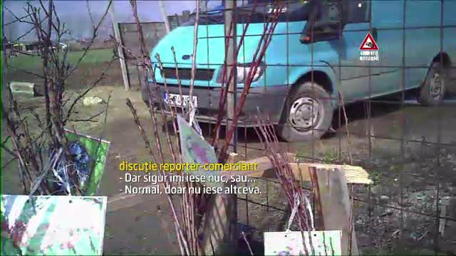 CAMERA ASCUNSA. Mafia pomilor fructiferi: nuiele vandute drept ciresi sau meri. Amenzi de 1.000 lei