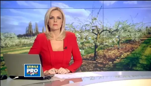 CAMERA ASCUNSA. Mafia pomilor fructiferi: nuiele vandute drept ciresi sau meri. Amenzi de 1.000 lei