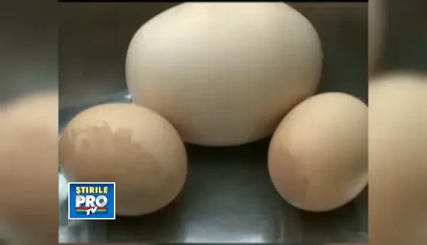 Descoperirea bizara facuta de o femeie din China intr-un ou urias, de 200 de grame