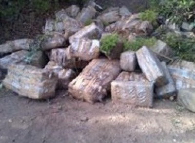 900 de kilograme de marijuana, in valoare de 4 milioane de dolari, gasite pe o plaja din L.A.