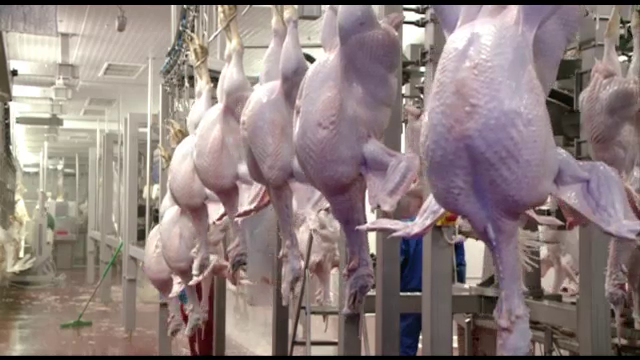 Scandalul laptelui continua, dar curcanii sunt "curati". Danone retrage preventiv produse de pe raft