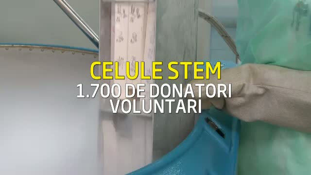 Esecul Registrului donatorilor romani de celule stem. Sute de romani au murit asteptand transplantul