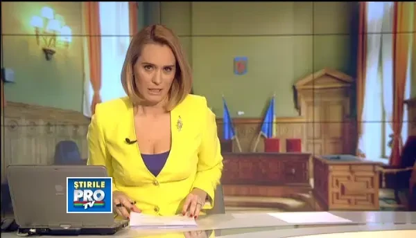 15 fosti si actuali parlamentari, acuzati de conflict de interese. Printre ei, Oana Niculescu Mizil