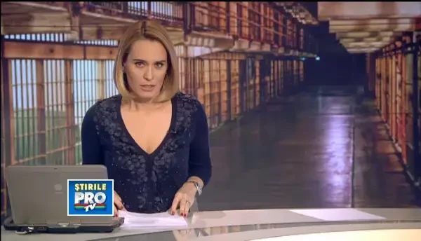 Baronul Gorjului, Nicolae Mischie, poate executa doar o treime din pedeapsa de 4 ani primita