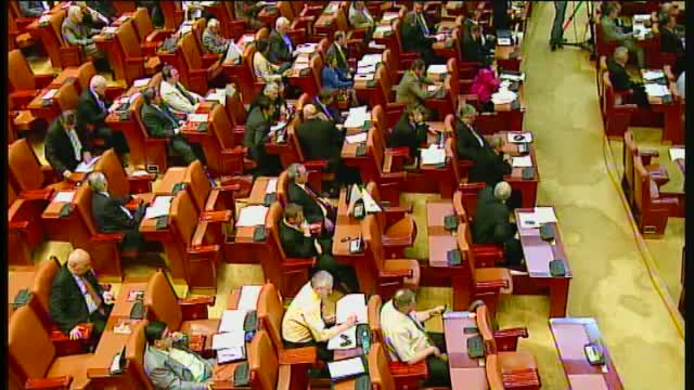 Un alt deputat PPDD devine independent, iar un deputat PDL trece la UNPR